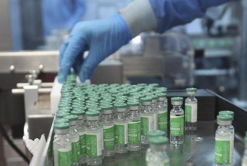 印度血清研究所 世界疫苗生产巨头的核心技术困境