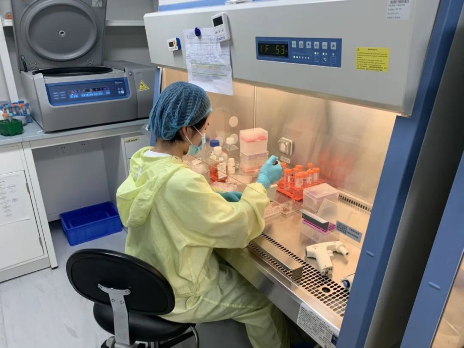 新一代CAR-T技术获国家药监局临床试验默示许可 生物制药研究与生产的里程碑